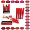 Private label liquid lipstick Long Lasting Waterproof Velvet Lip Gloss makeup Set